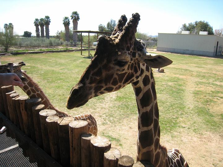 2nd Birthday at the zoo 28.JPG